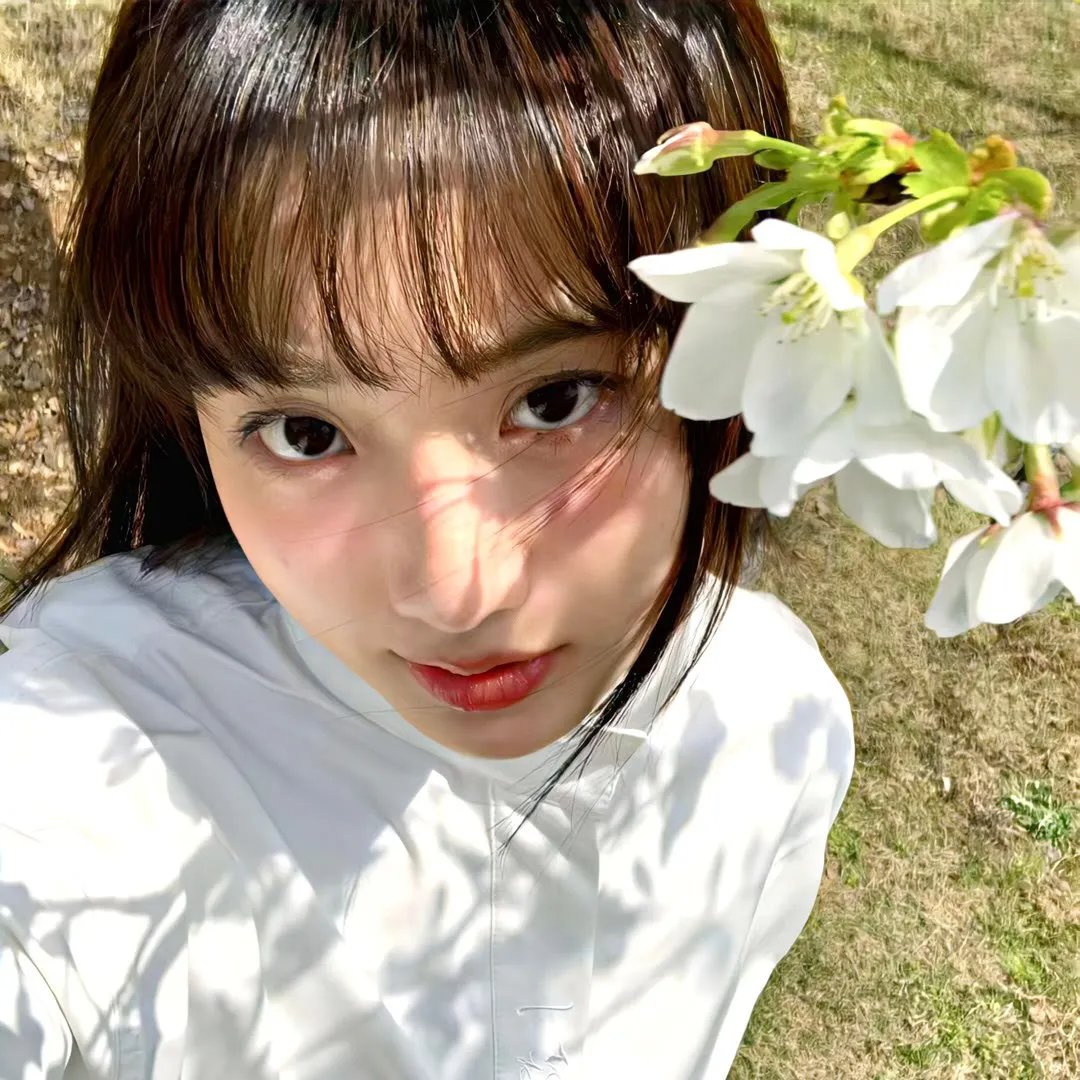 杰克盖的房子
